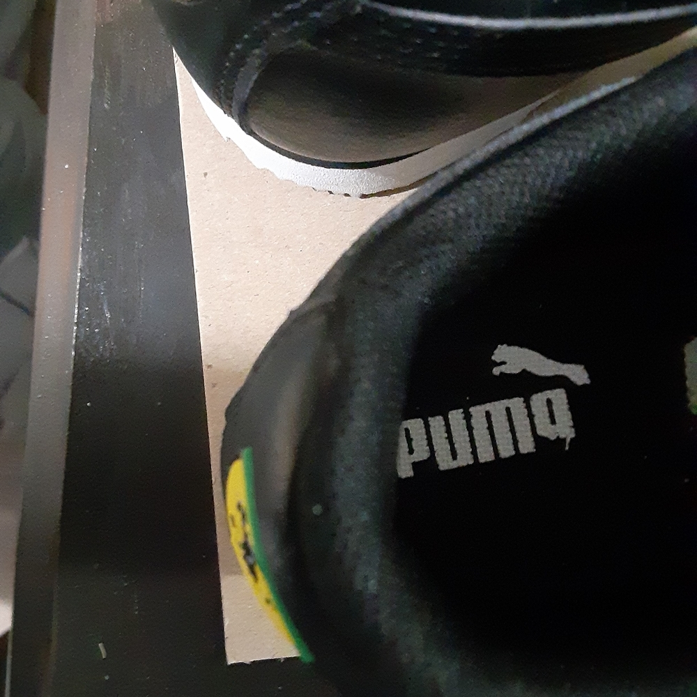Puma - Picture 2 of 7